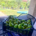 Frühstückspension La Palma 3*